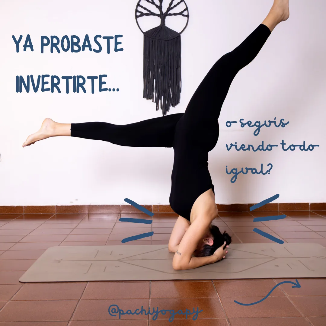 Pachi Yoga — foto 4